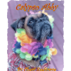 Calypso Abby (Digital Download)