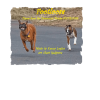 Footloose <br>(Through Sheet Music Plus)