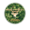 Grandma Got Run Over by a Reindeer<br>(Through Sheet Music Plus)